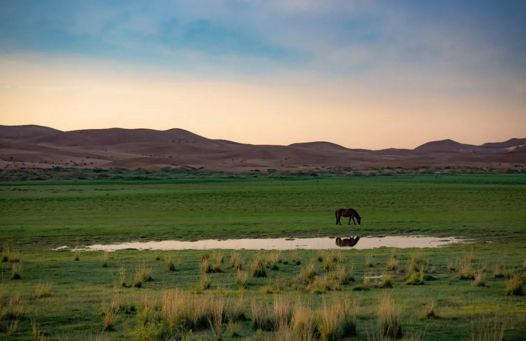 沙漠自然教育夏令营,2020沙漠夏令营报名