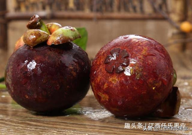 山竹选购秘籍挑选一颗完美的山竹,山竹怎么挑更甜一挑一个准