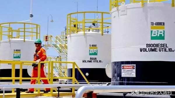 被全球痛骂的巴西政府：官员都没钱喝咖啡了，你还指望它救火？