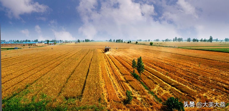迷失的亲情王家三兄弟普法栏目剧,迷失的青春