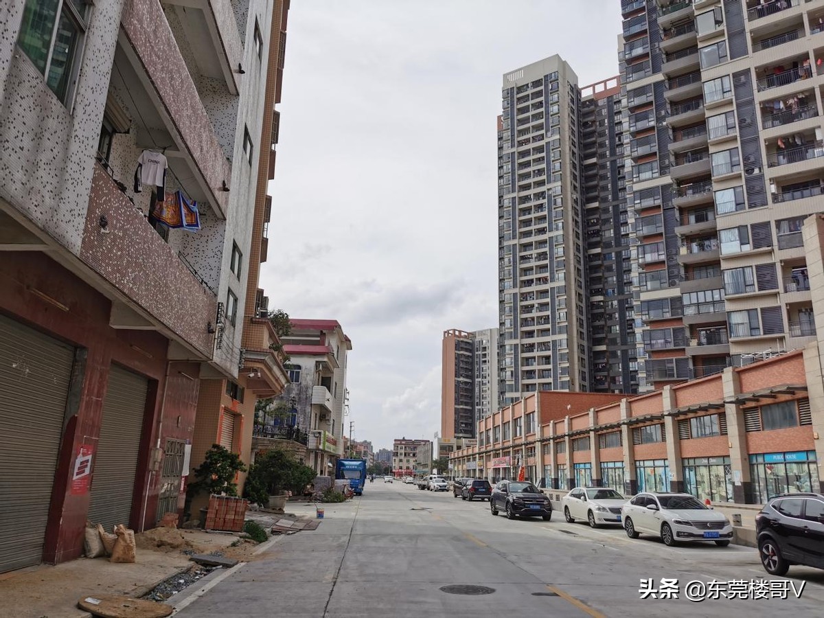 楼哥炒股不迷路,东莞华侨城天鹅堡和中海左岸东宸