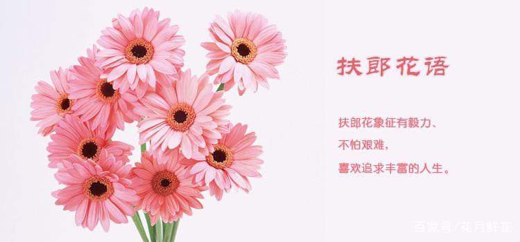 送长辈的鲜花花语,浪漫花语鲜花婚庆