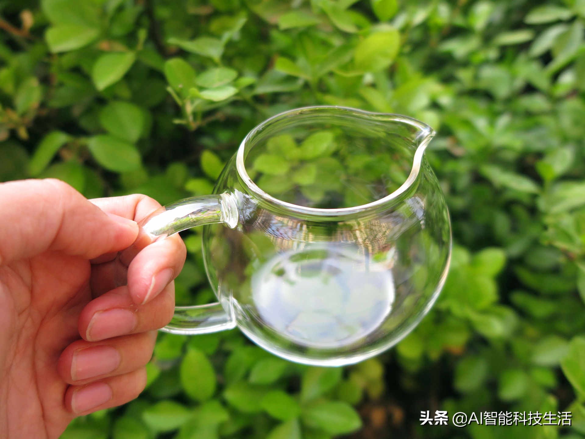 全自动保温多功能蒸汽煮茶器评测,泡茶机好用不贵泡茶不再烦恼