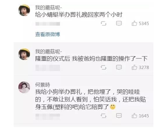 在家看电影被家人发现,被父母发现看视频自己怎么办