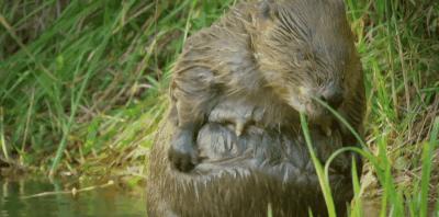 豆瓣9.8分悬疑大片,窥探电视剧豆瓣评分
