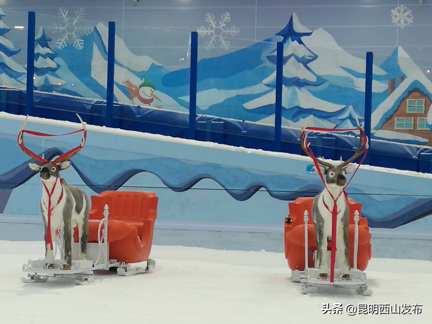 昆明融创文旅城冰雪世界,昆明融创冰雪世界攻略