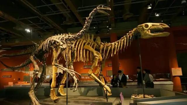 和爸爸一起去旅行,抖音里一起去旅行