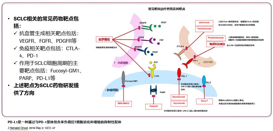 小细胞肺癌11年的真实经验,小细胞肺癌5年存活率高吗
