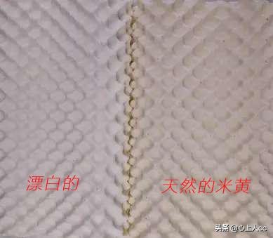 真乳胶枕和假乳胶怎么辨别,怎么区分天然乳胶枕和海绵枕头
