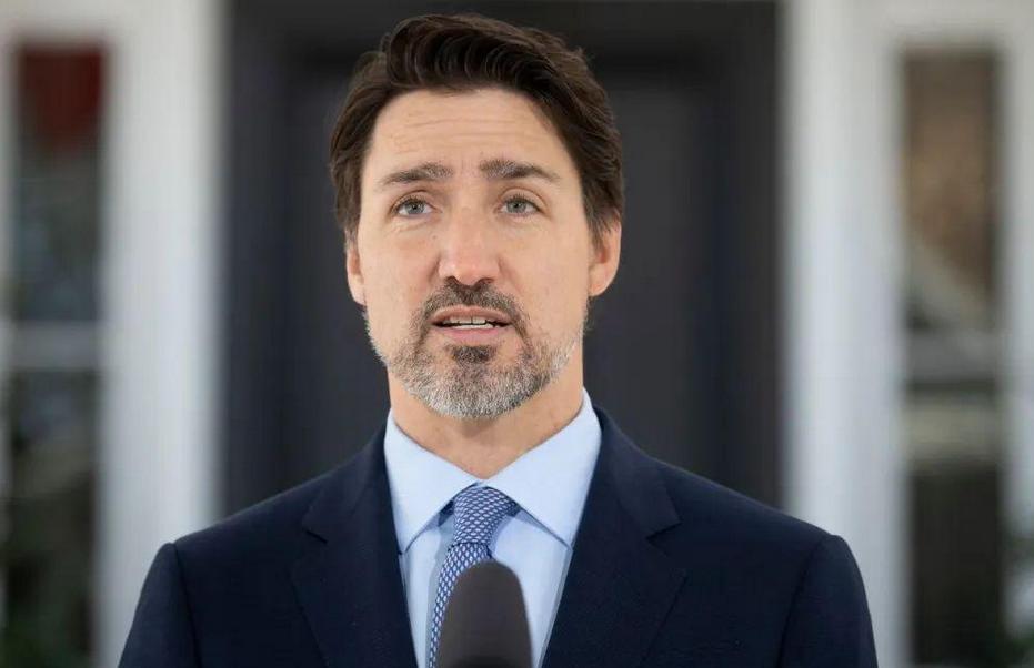 加拿大议员会议出镜,加拿大议员视频会议出镜