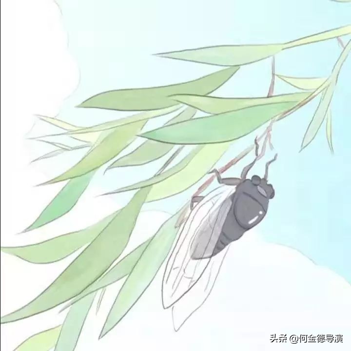 一位女大学生的家教心得：《我的家教之路与一些小建议》