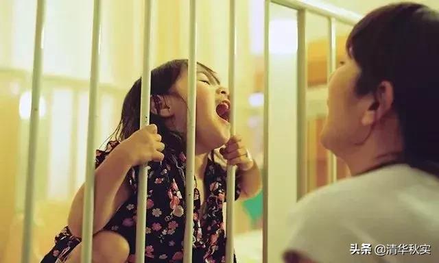 北大孝子弑母最新进展,北大学生弑母案件纪实