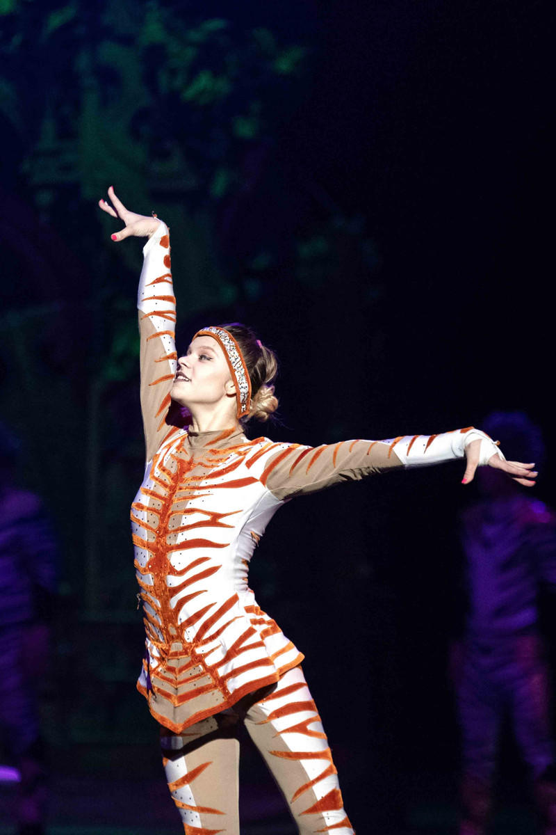 广州长隆野生动物世界旅游攻略,长隆野生动物世界攻略2-3天广州游