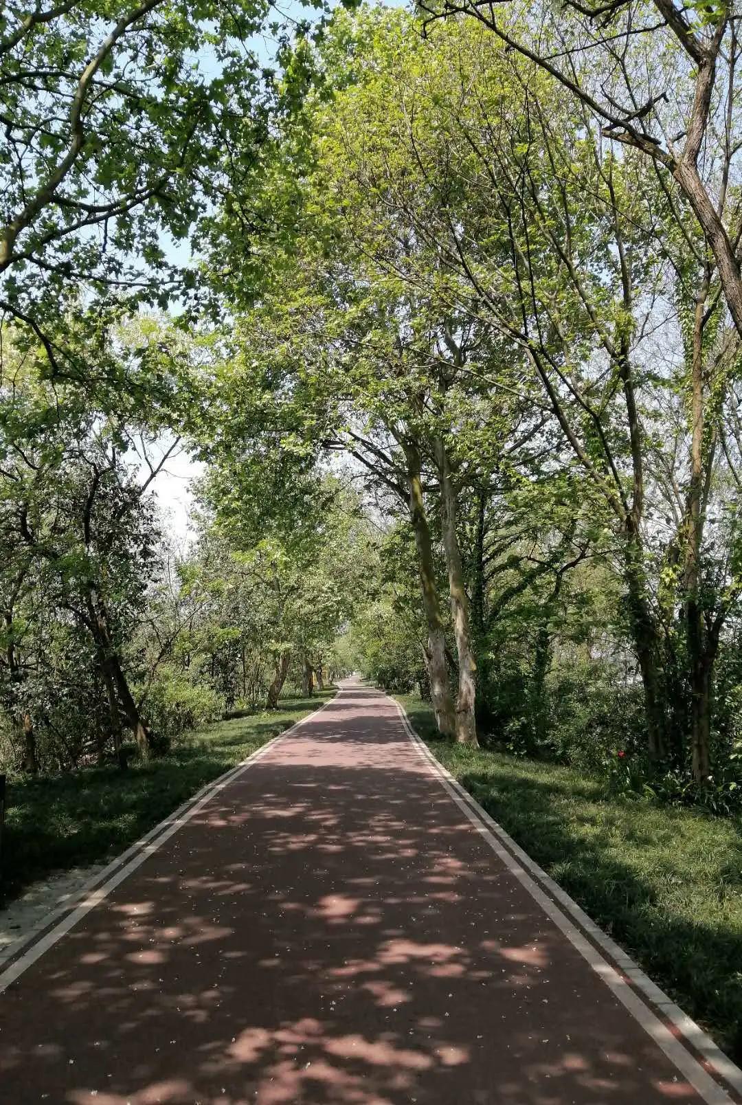 温江金马湖现状,金马湖烂尾楼在哪里