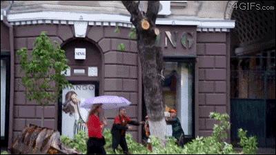 搞笑动图gif笑到肚子疼,搞笑动图gif图片