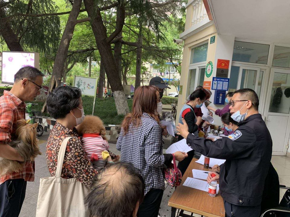 夏季犬管理整治,犬类整治