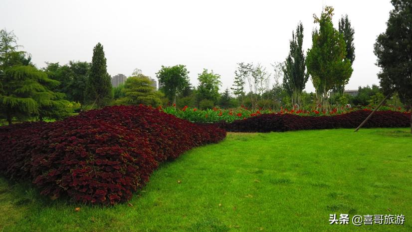 从河北沧州到新疆自驾游路线,沧州去黄山自驾游沿途景点