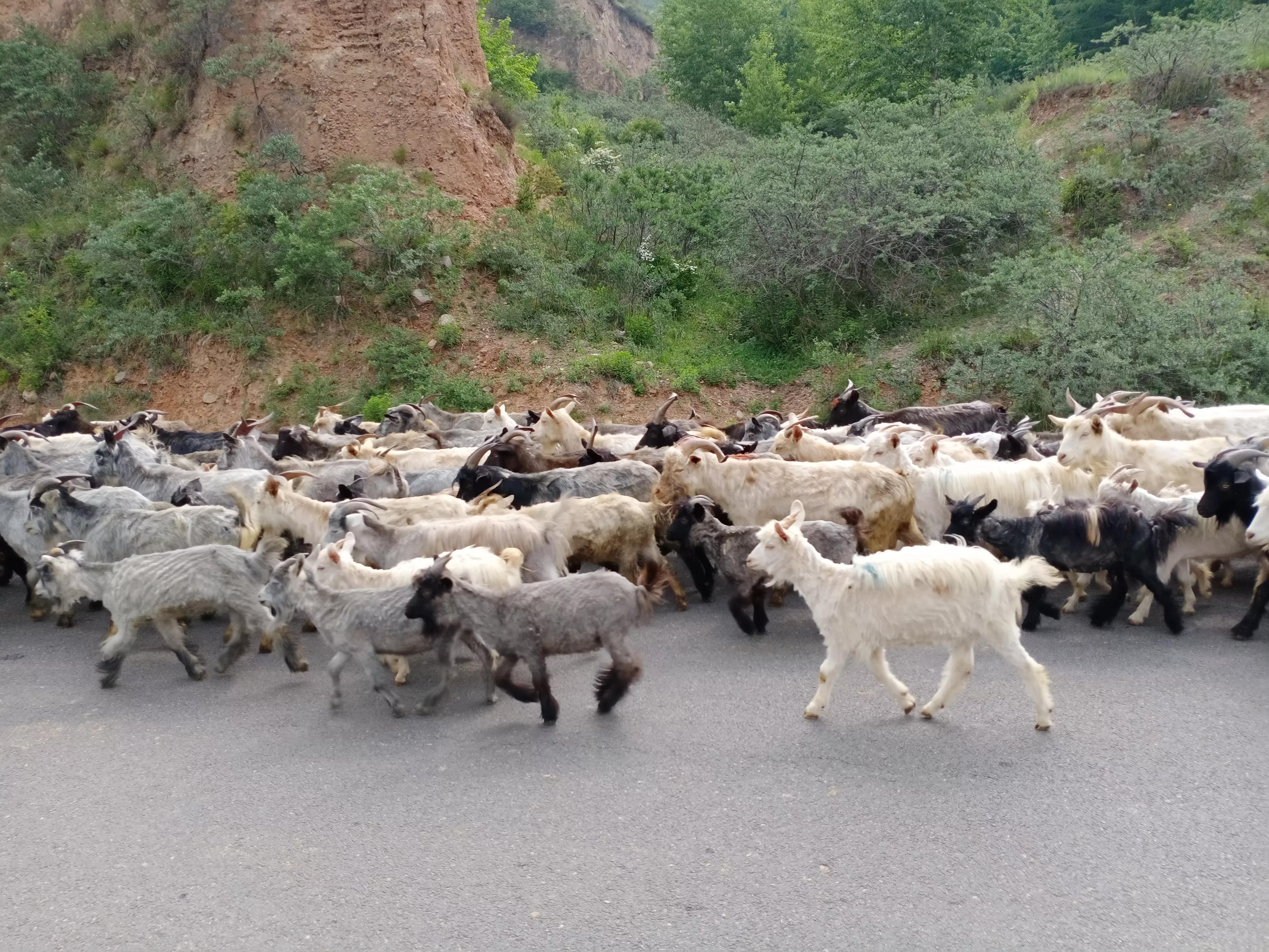 五峰山景区视频,五峰旅游景区