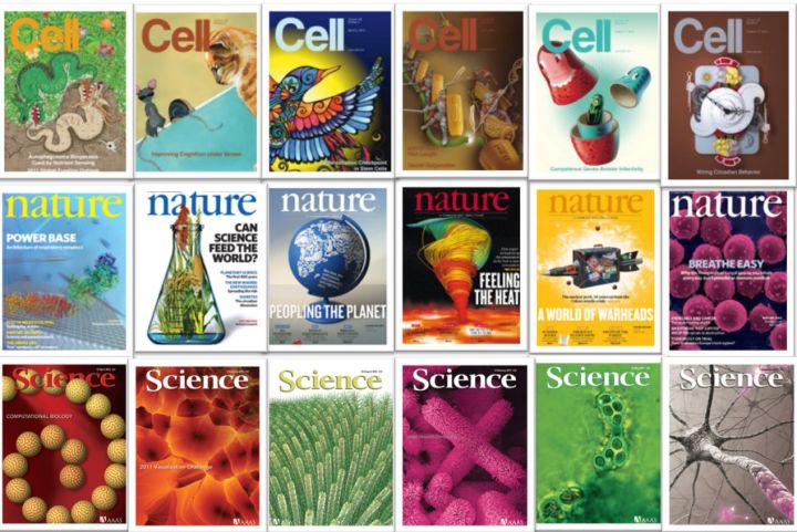 naturecellscience免费下载文章,naturecellandscience期刊
