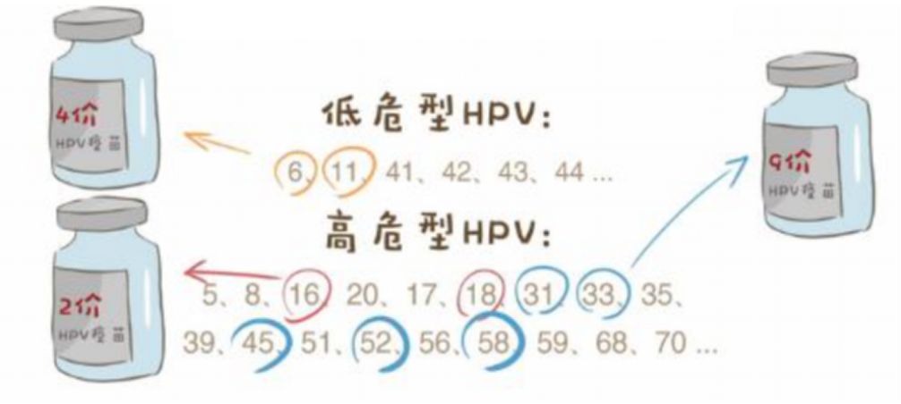 打了宫颈癌疫苗还会感染hpv吗,宫颈癌疫苗要做什么检查才能打吗