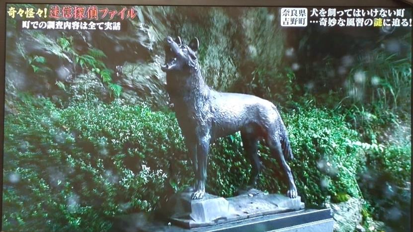 海贼王1079话罗宾,海贼王罗宾打黑色玛利亚第几话