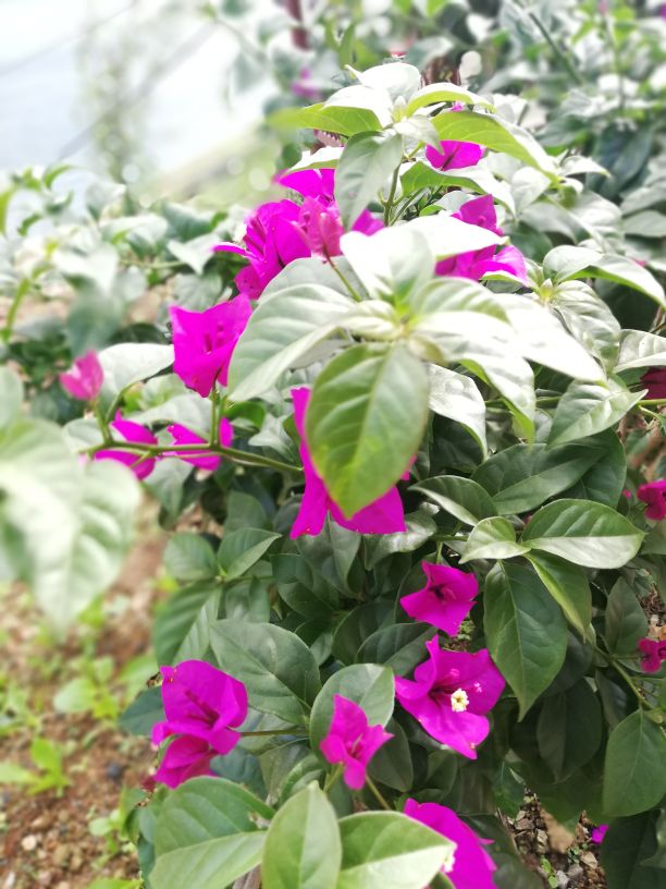 婚姻出现了裂痕还能过下去吗,我发现了婚姻破裂的3个真相