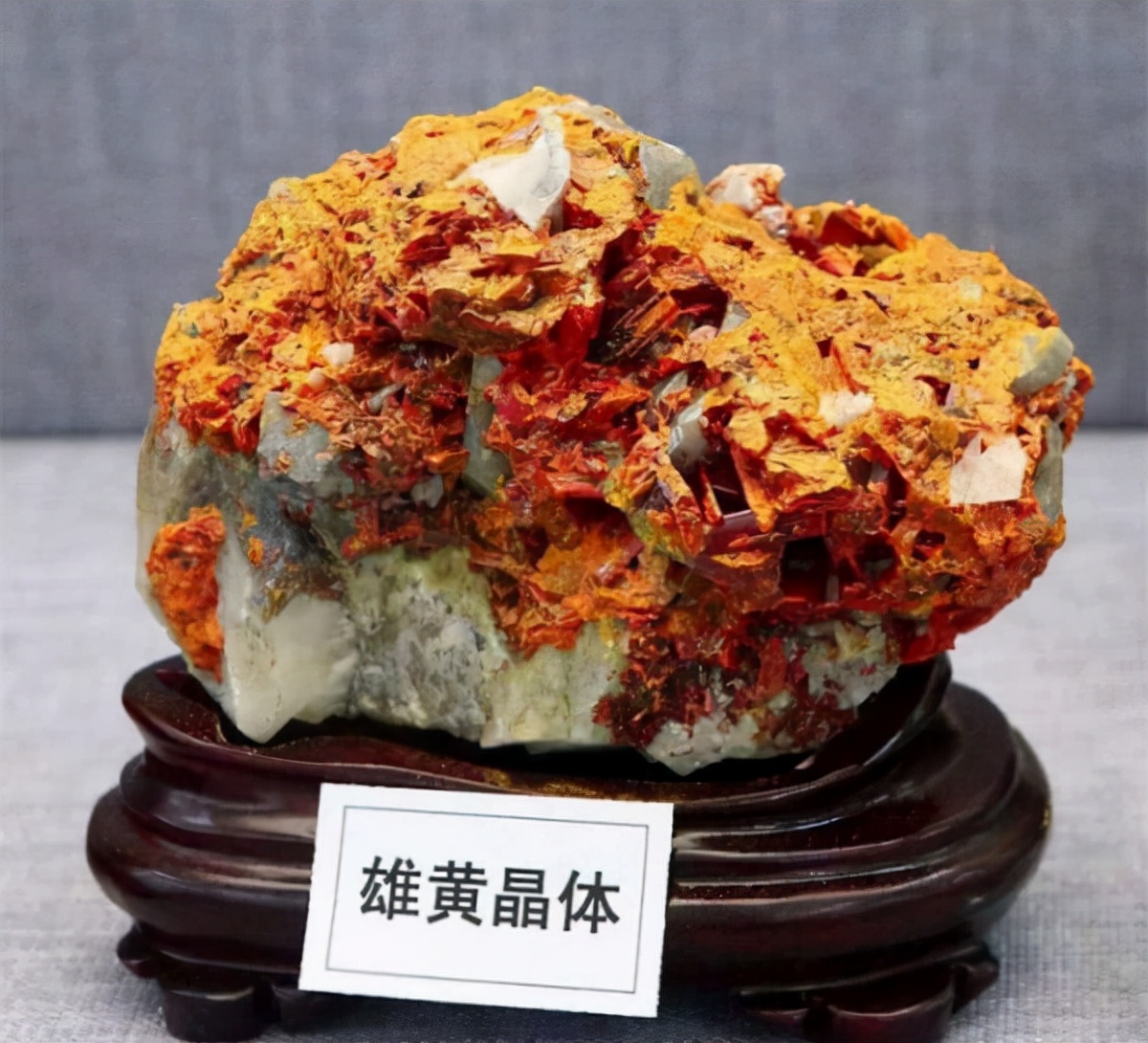 雄黄粉能驱蛇吗对人畜有无危害,蛇为什么害怕雄黄粉