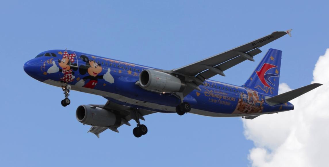 亚洲规模最大的航空公司,2019全球航空公司客运量前十