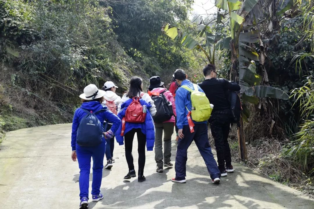 全世界唯一在运行的蒸汽小火车,经典窄轨蒸汽机车