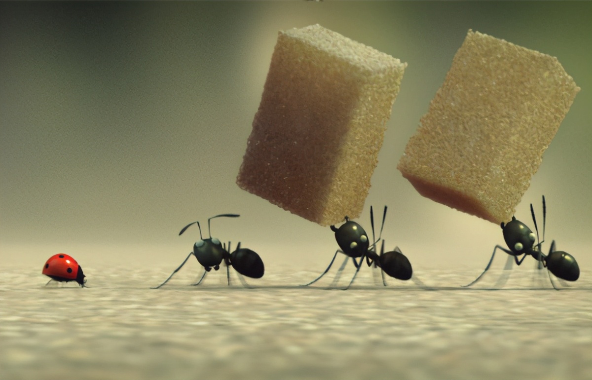 蚂蚁被什么天敌消灭,你被蚂蚁咬了该怎么办