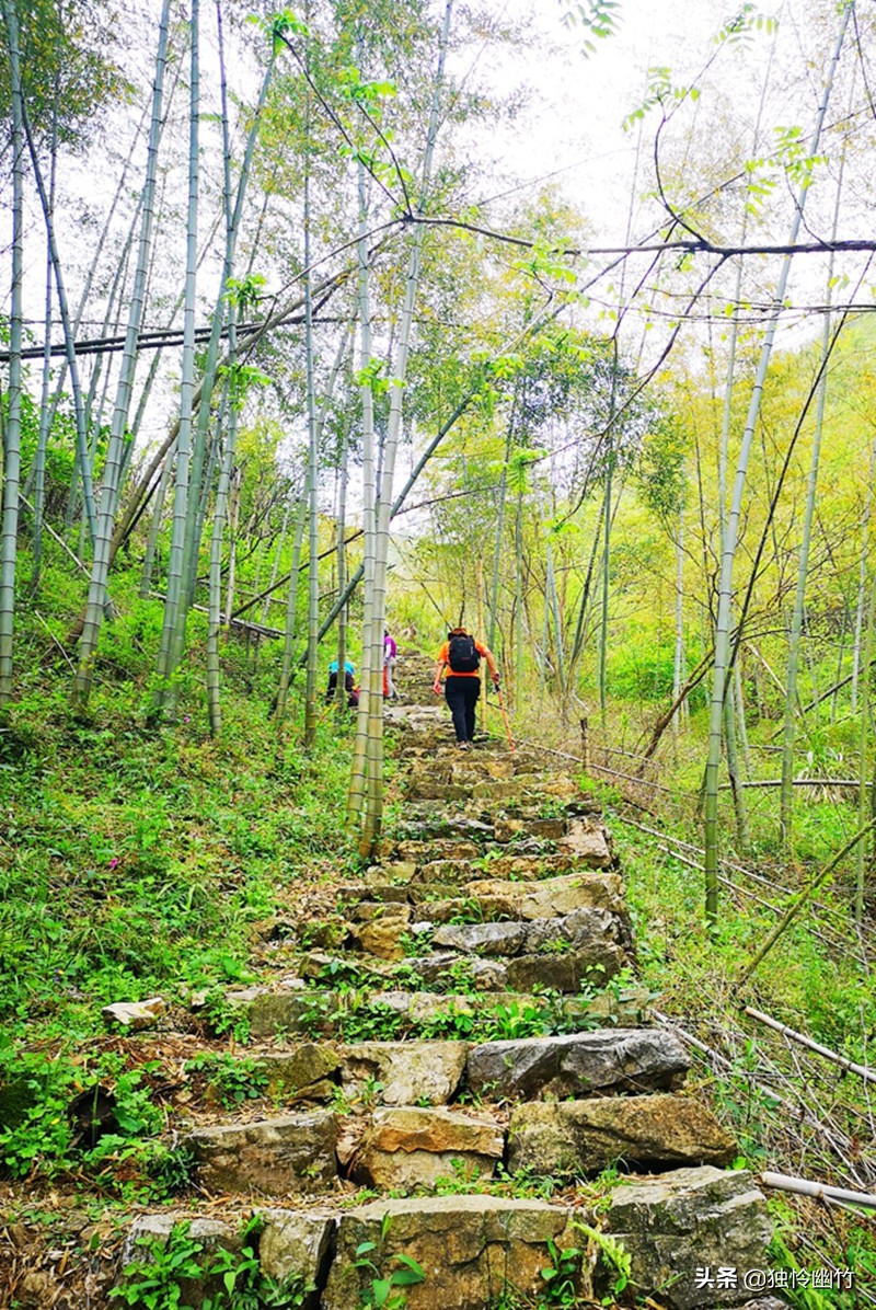 分享摄影爱好者的视频,分享摄影干货小知识