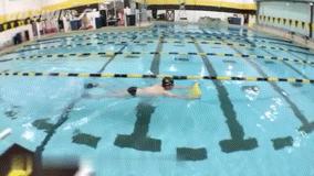 自由泳怎么游怎么发力主要练什么,自由泳快速游的技巧