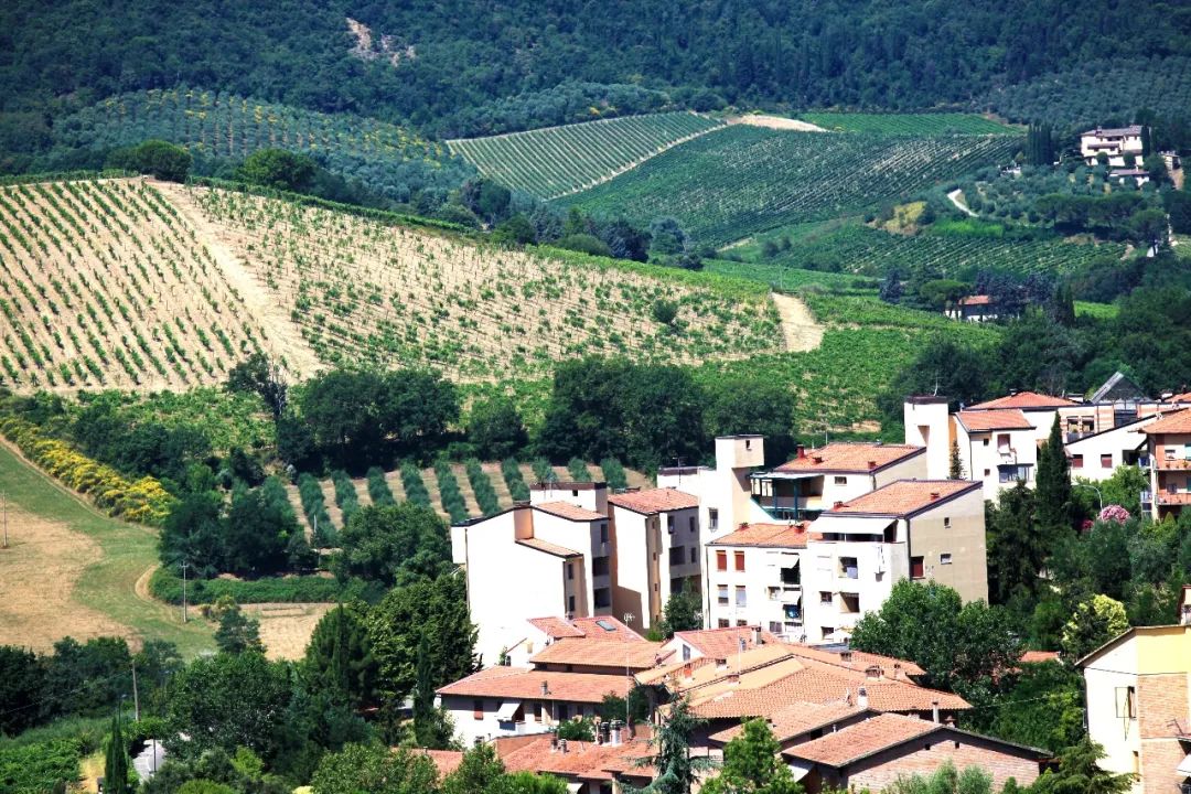 意大利最好的葡萄酒小镇,意大利马纳罗拉小镇盛产葡萄酒