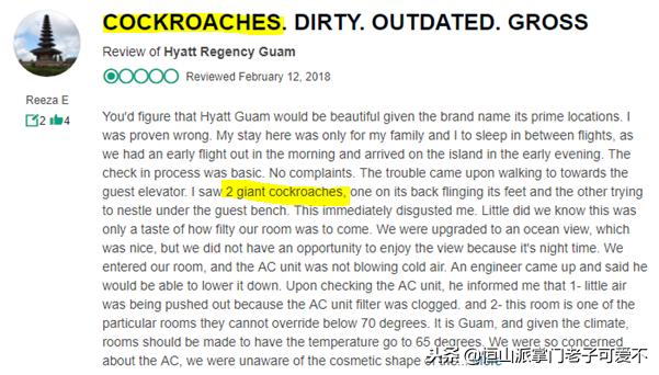 有虫子的旅游地,夏季旅游虫子少的地方