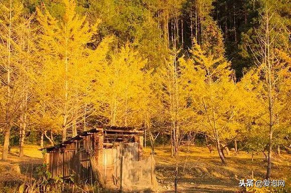 广东粤北最美公路,粤北最美的国道是哪条线