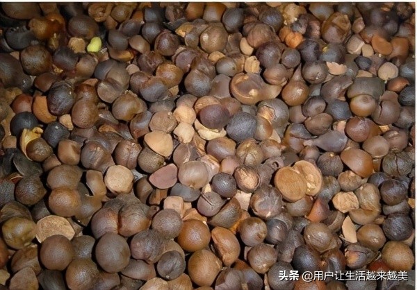 龙胜哪儿有好看的景区,广西的龙胜有什么好玩的