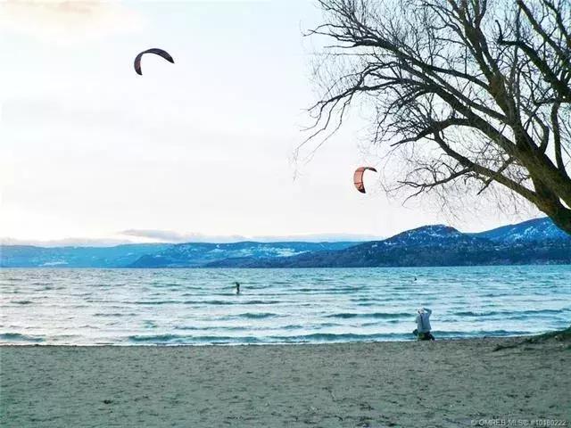 加拿大100万能买什么房,上海一套房在加拿大能买多大