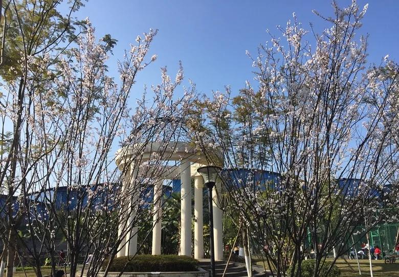 重庆55个景点免费游玩有哪些,重庆五一自驾游1天最佳路线