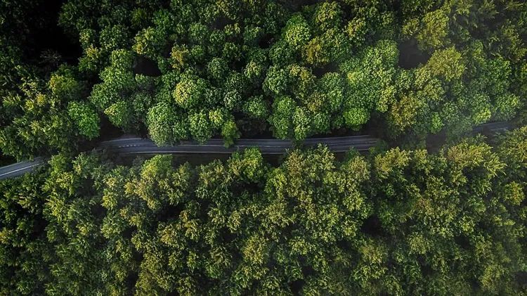 怎么可以使照片的各个色彩更鲜艳,让照片局部色彩艳丽又不失真