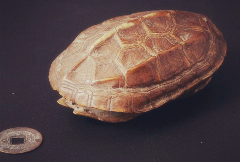 占卜算卦一般要算几卦,占卜中的读象和断卦的区别