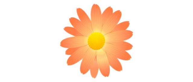 又高质又好看的素材应该在哪里找,在哪里找好看又免费的素材