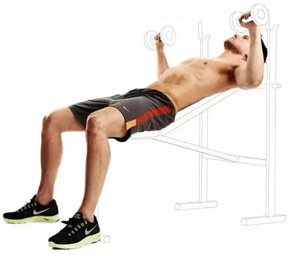 新手必备！8个动作锻炼全身肌肉，修身塑形，30天给你完美身材