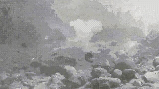 蛤、蚶、蛏、蚝、蚬有什么区别？这是一群美味海怪与人类的故事