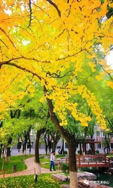 每日高校｜中国传媒大学