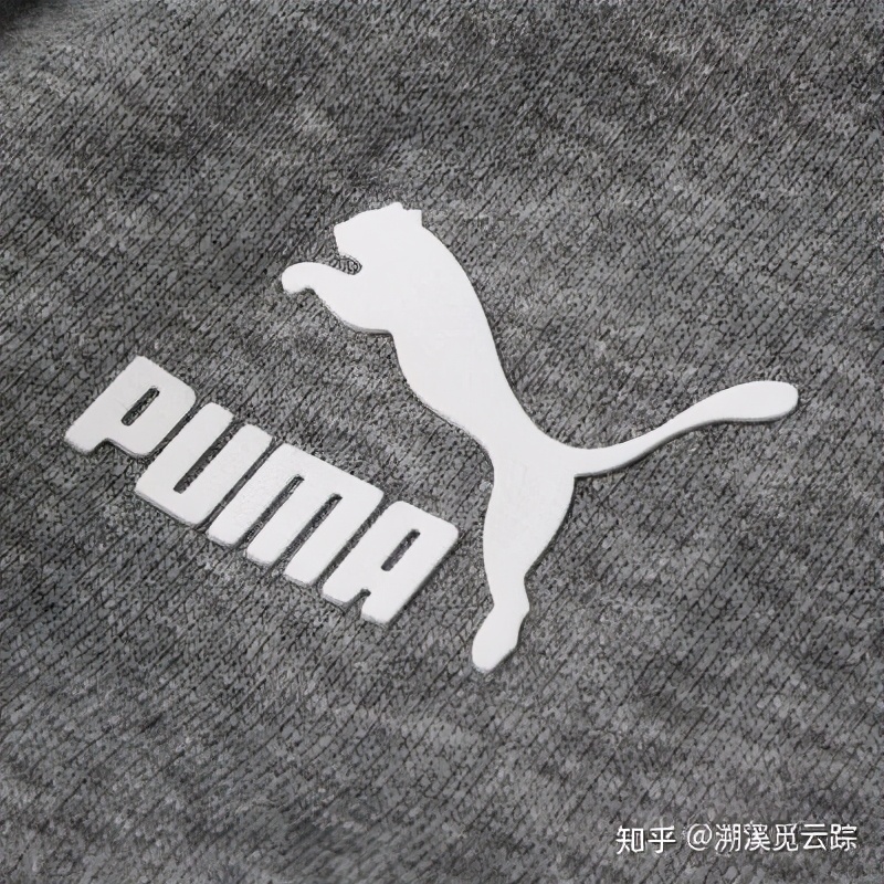 有哪些容易被认错的动物,容易被欺负的动物有哪些