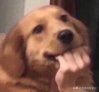 中李佳琦的毒太深!?这些鸡肋彩妆你买了?