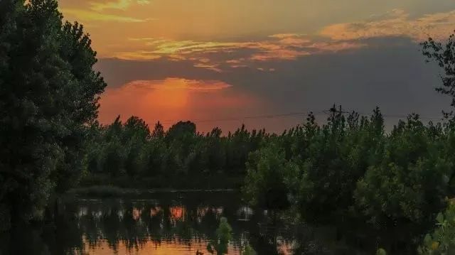 蠡县旅游必看景点,旅游景点推荐保定蠡县