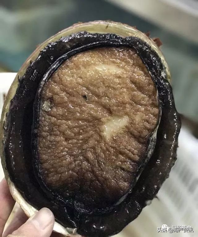 世界公认十大海鲜,全球顶级海鲜食材大赏