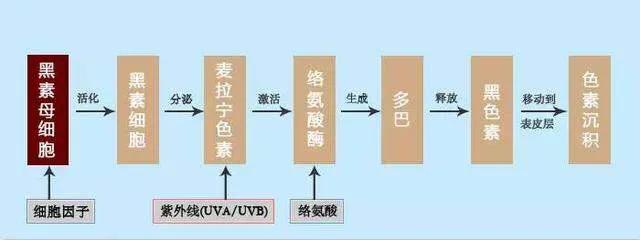 保湿防晒真的能防止衰老吗,防晒霜美白抗衰
