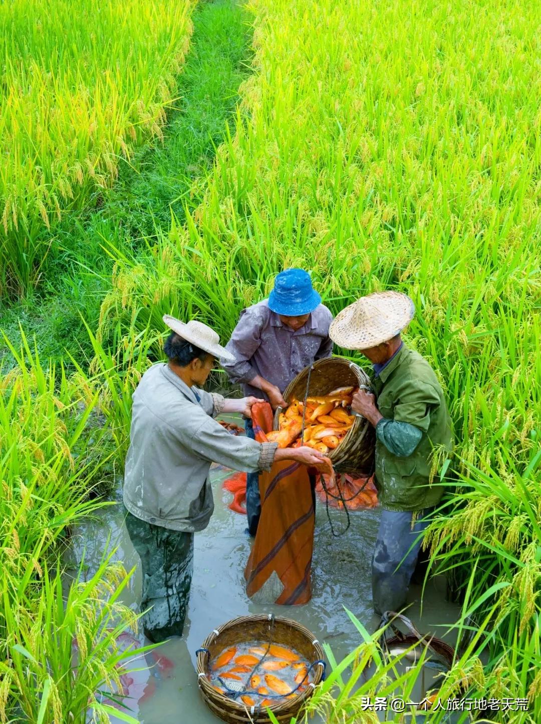 我国唯一能用欧元的城市,我国唯一可以使用欧元的小镇